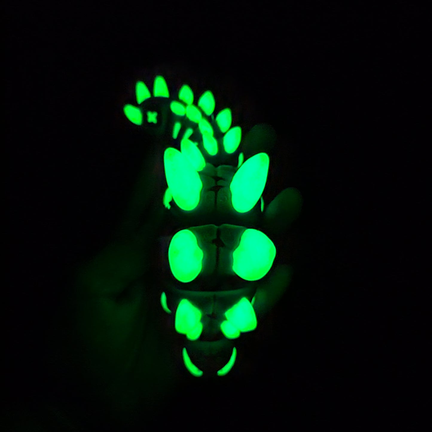 Steggy Fidget Dino (Glow in the Dark)