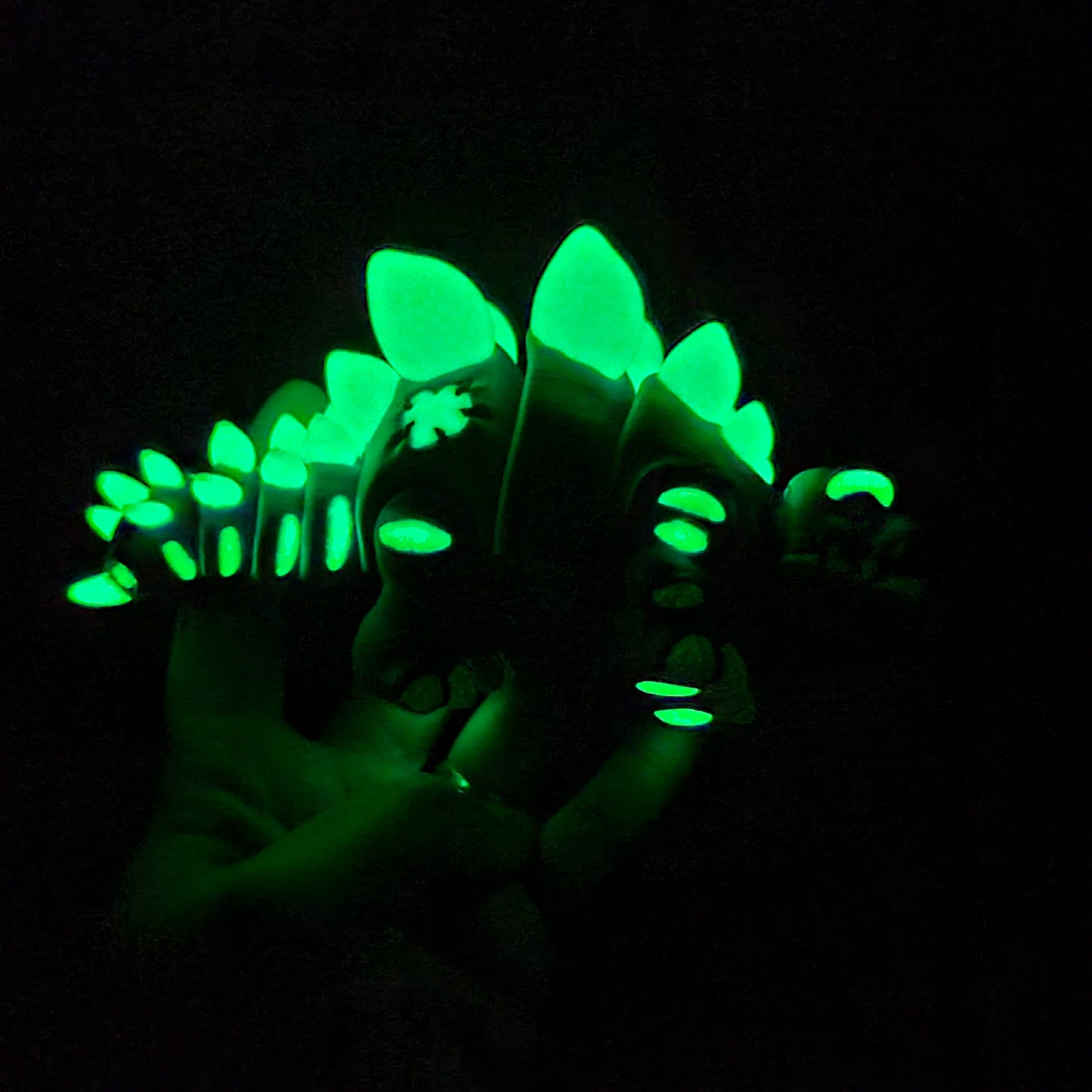 Steggy Fidget Dino (Glow in the Dark)