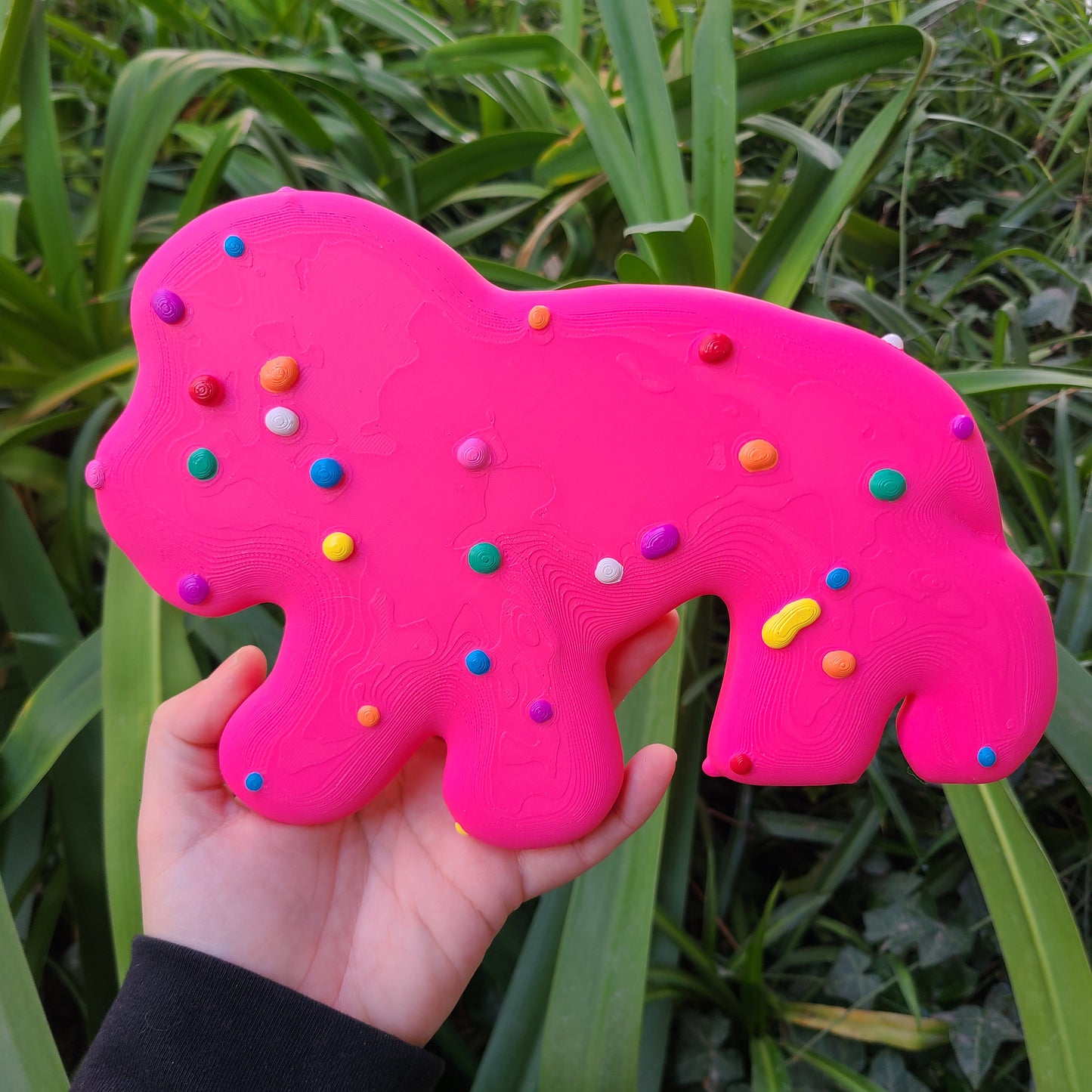 Cookie Wall Art
